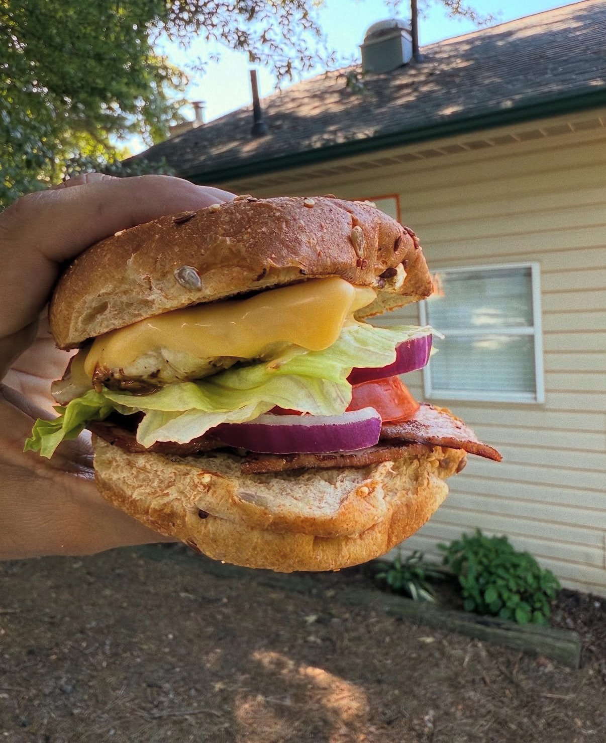 Chicken BLT