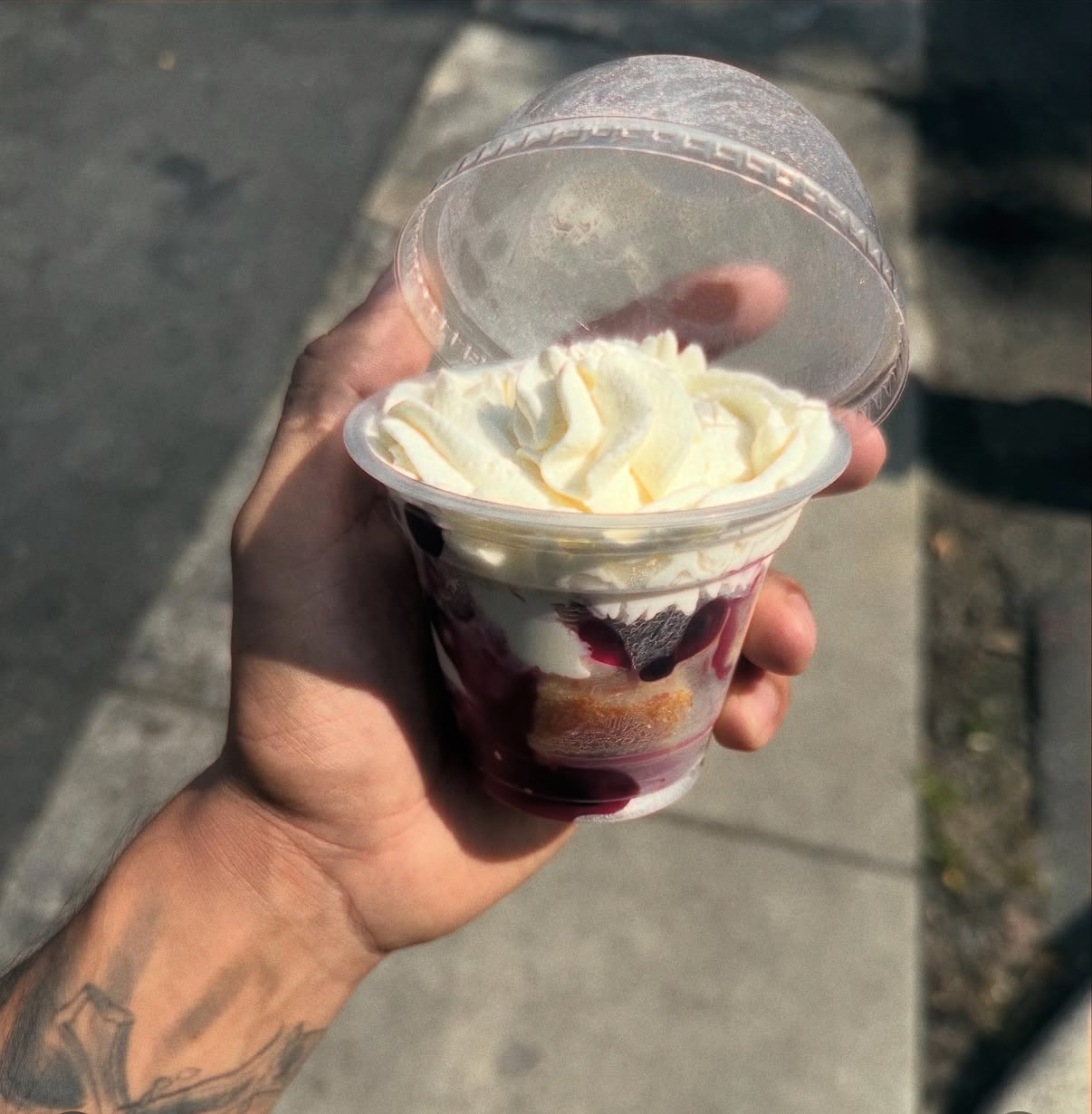 Blueberry Passion Dessert